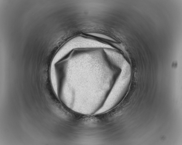 X0000091310642200709071115