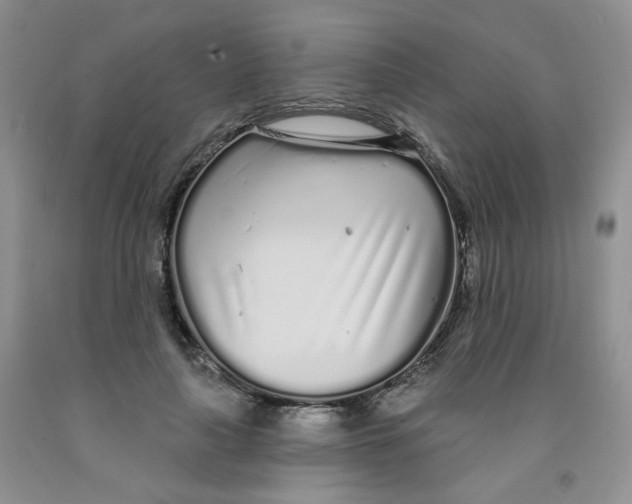 X0000091310643200709071115