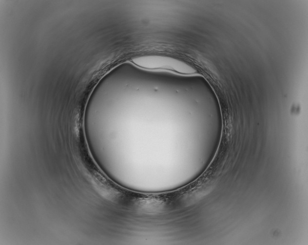 X0000091310644200709071115