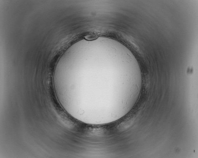 X0000091310645200709071115