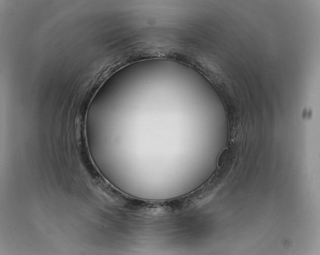 X0000091310646200709071115