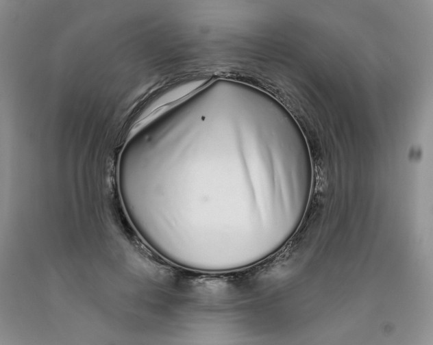 X0000091310648200709071115