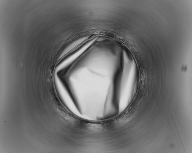 X0000091310649200709071115