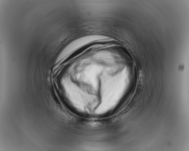 X0000091310650200709071115