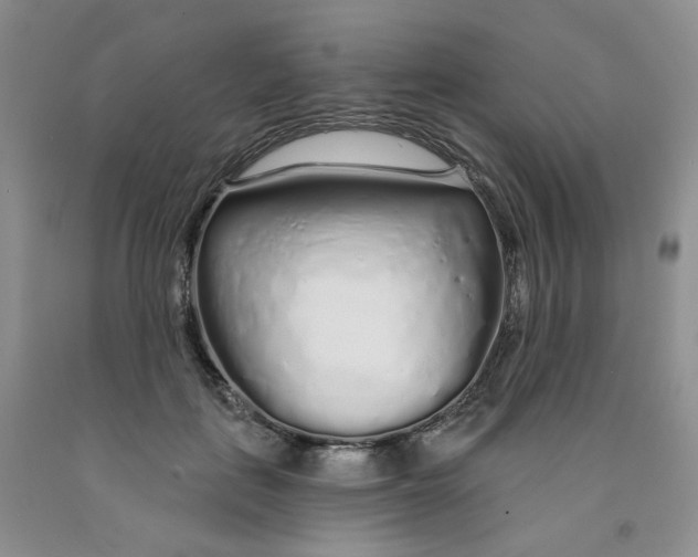 X0000091310651200709071115