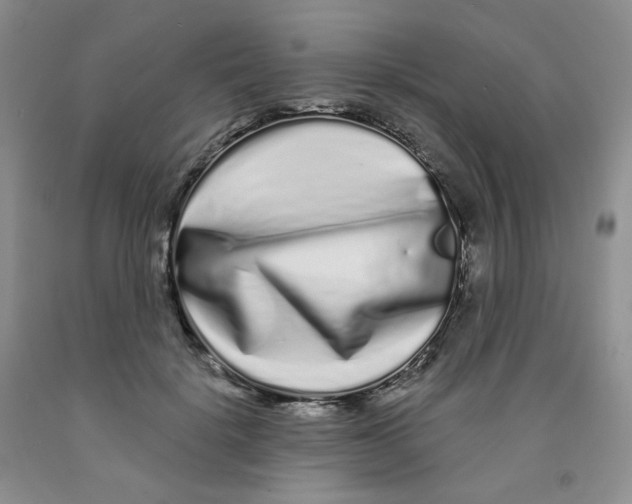 X0000091310652200709071115