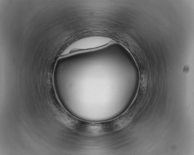X0000091310653200709071115