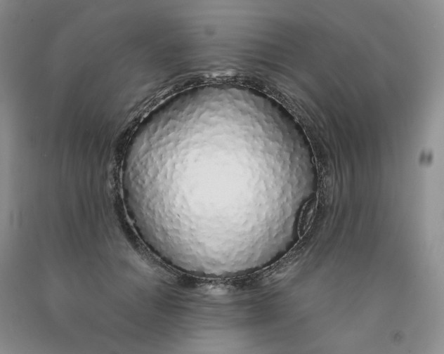 X0000091310654200709071115