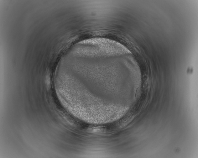 X0000091310655200709071115