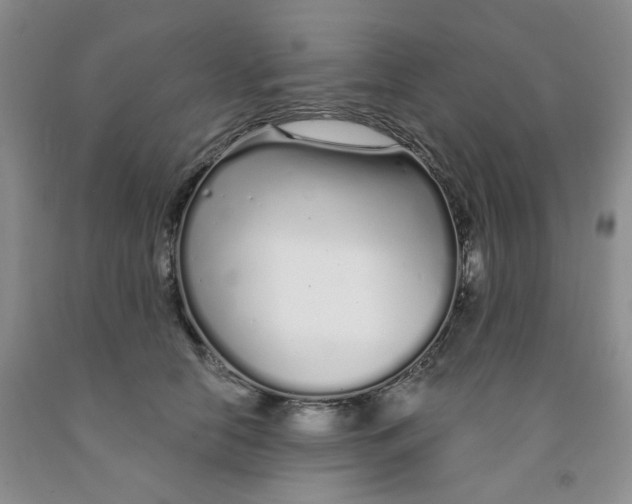 X0000091310658200709071115