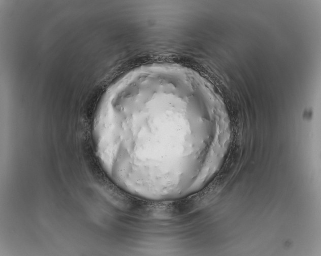 X0000091310659200709071115