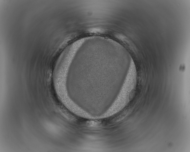 X0000091310660200709071115