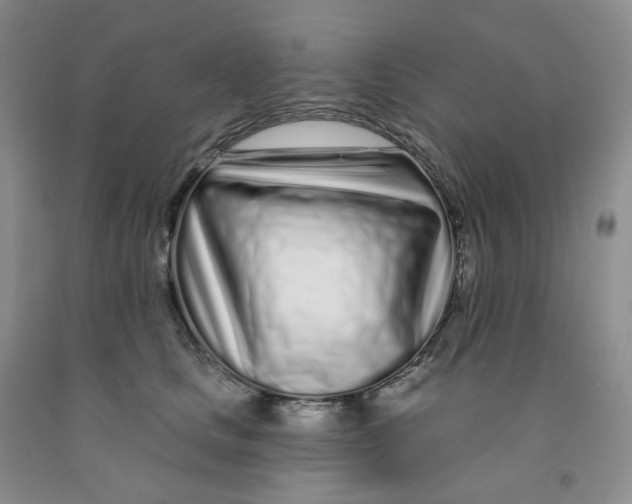 X0000091310661200709071115