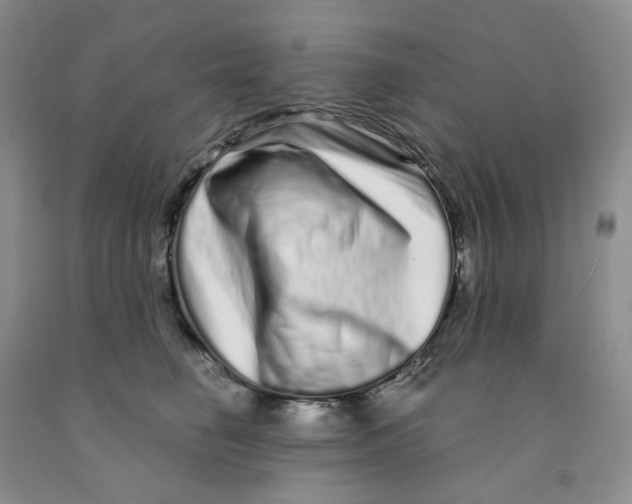 X0000091310662200709071115