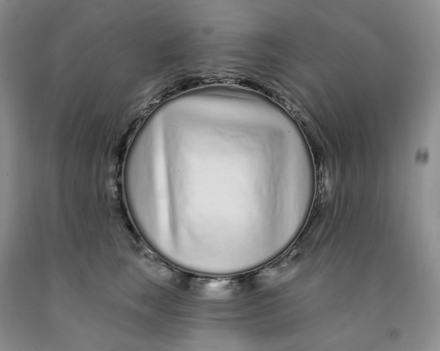 X0000091310663200709071115