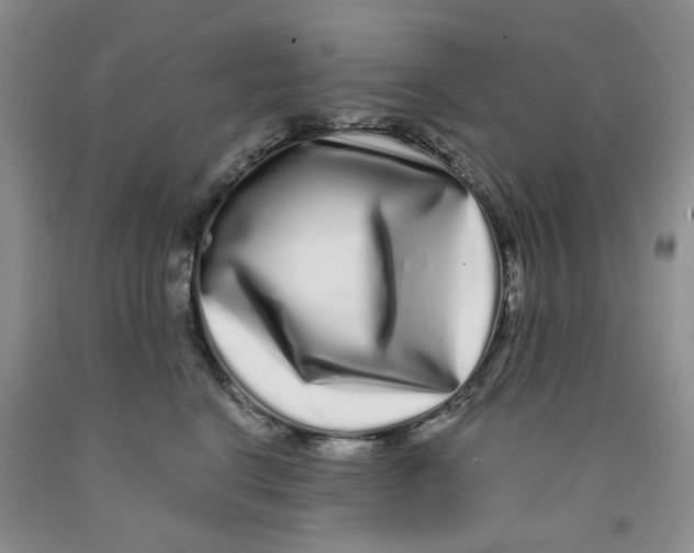 X0000091310664200709071115