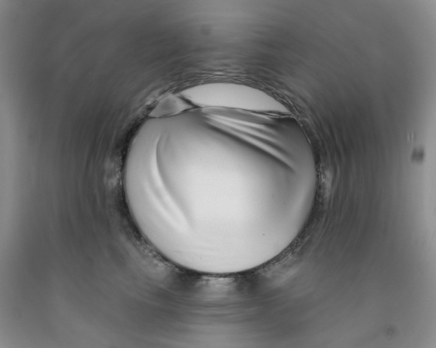 X0000091310665200709071115