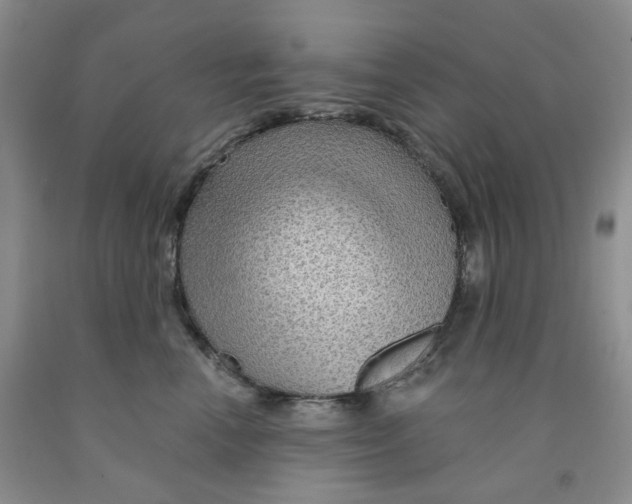 X0000091310666200709071115