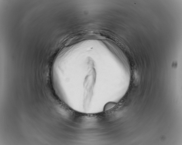 X0000091310668200709071115