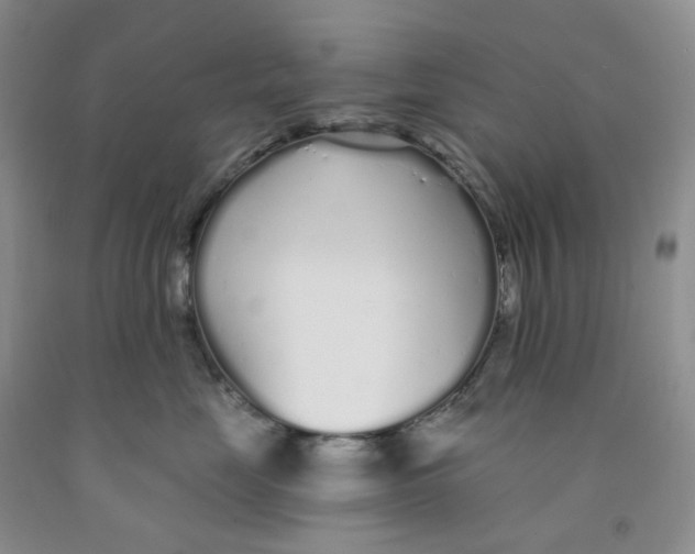 X0000091310669200709071115