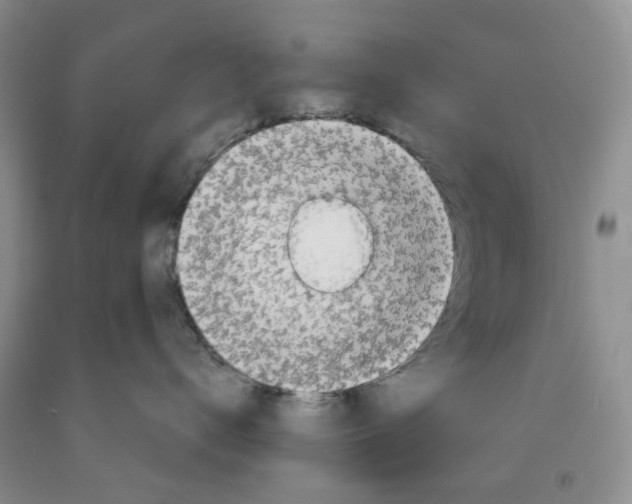 X0000091310672200709071115