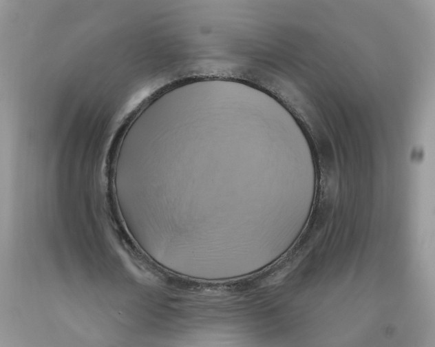 X0000091310674200709071114