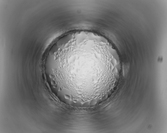 X0000091310675200709071114