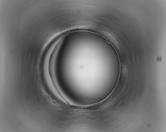 X0000091310676200709071114