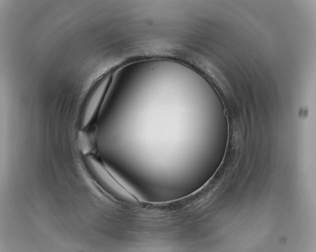 X0000091310677200709071114