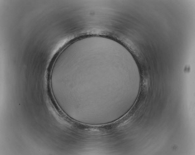 X0000091310678200709071114
