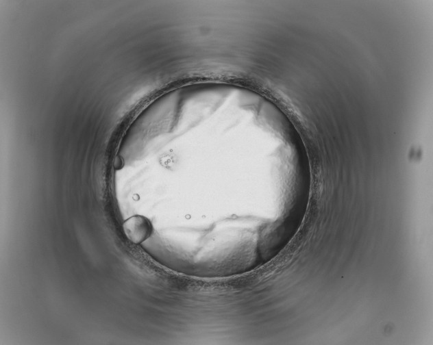 X0000091310679200709071114
