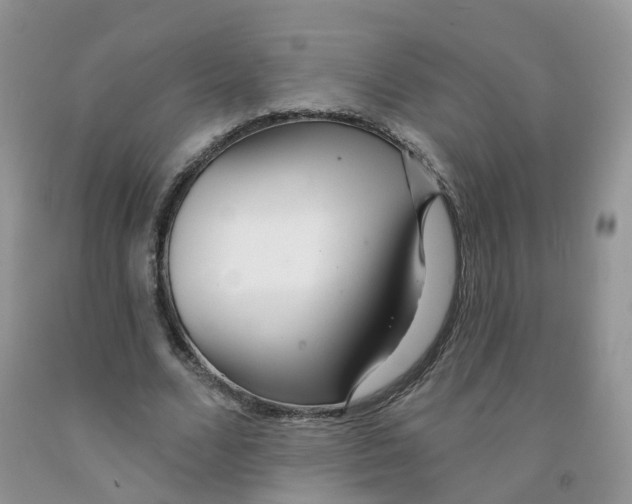 X0000091310680200709071114