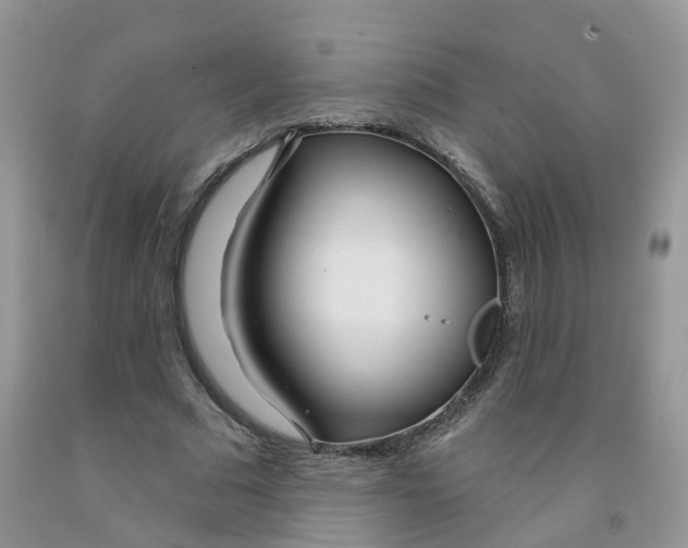 X0000091310681200709071114
