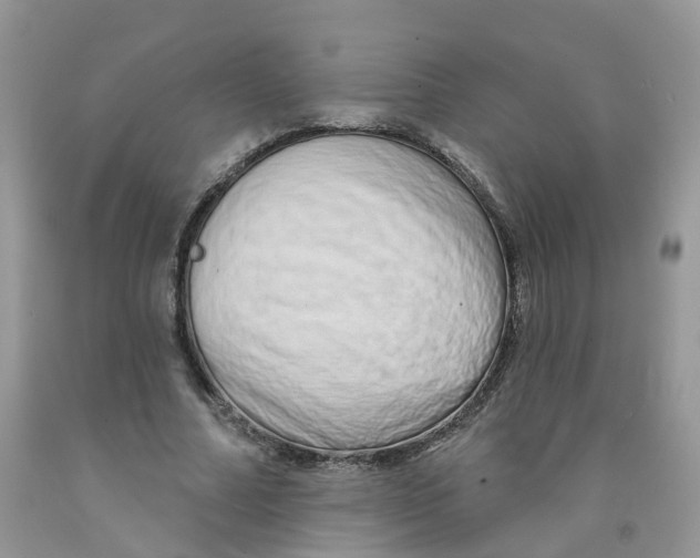 X0000091310682200709071114