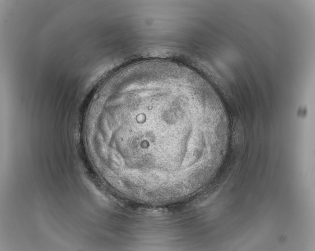 X0000091310683200709071114