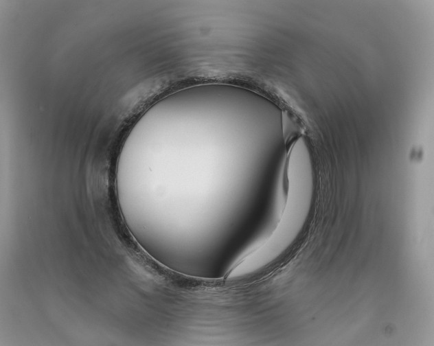X0000091310685200709071114