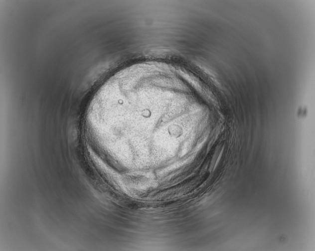 X0000091310687200709071114