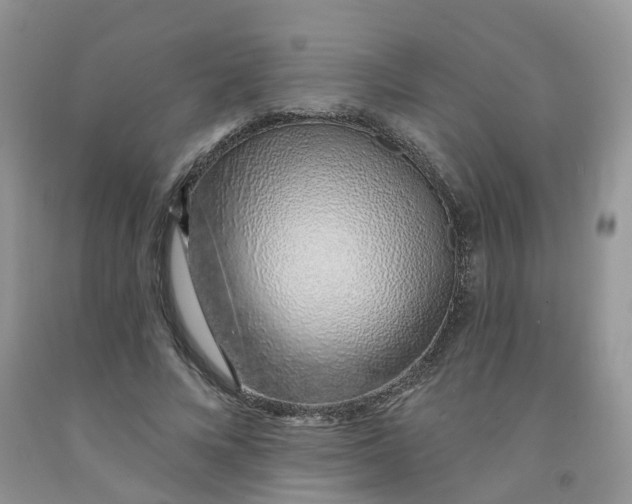 X0000091310688200709071114