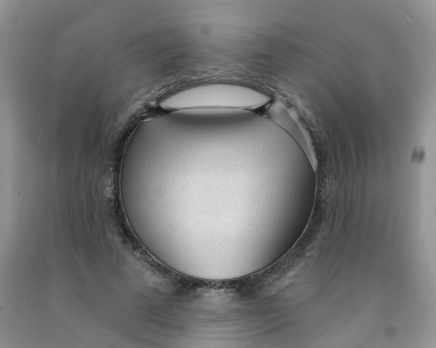 X0000091310689200709071114