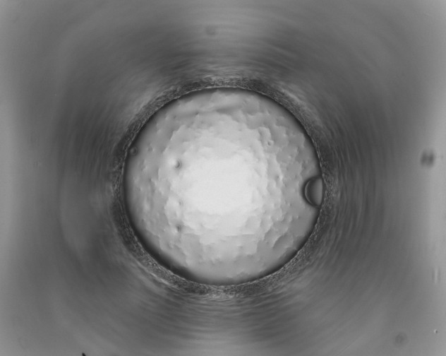X0000091310691200709071114