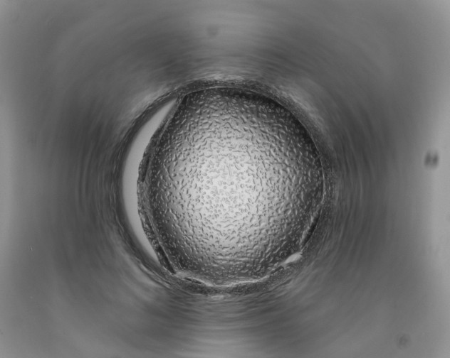 X0000091310692200709071114