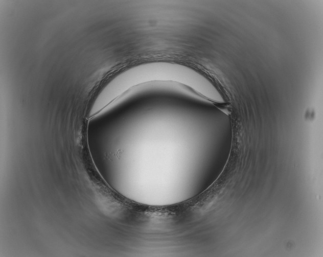 X0000091310693200709071114