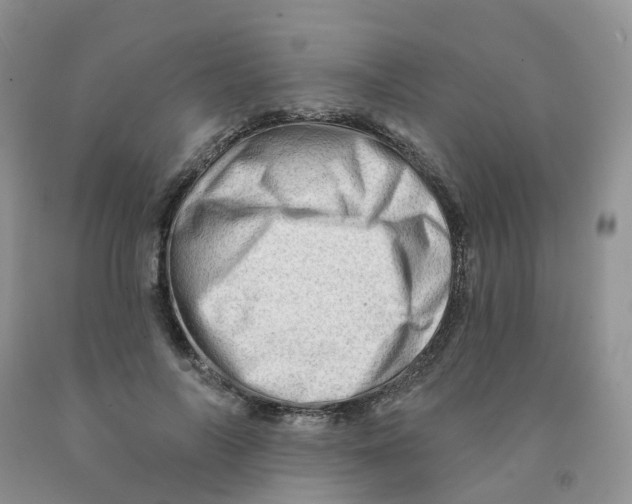 X0000091310694200709071114