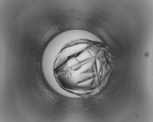X0000091310696200709071114