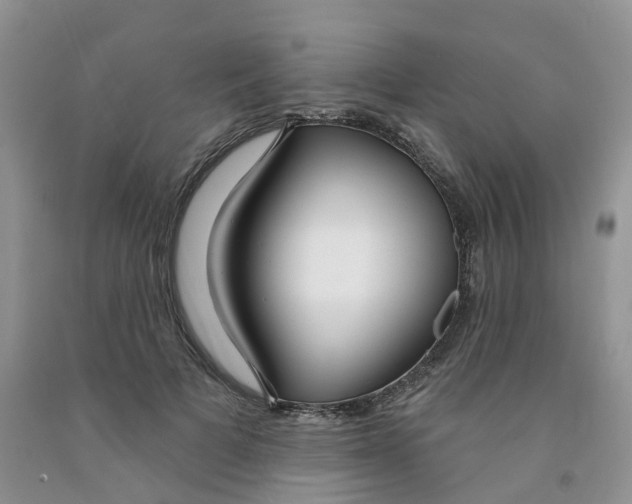 X0000091310697200709071114