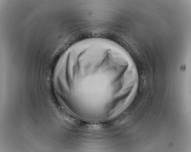 X0000091310698200709071114