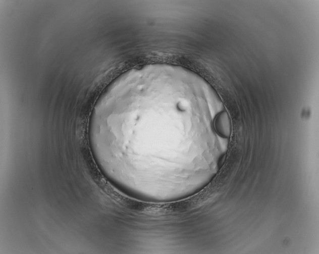 X0000091310699200709071114