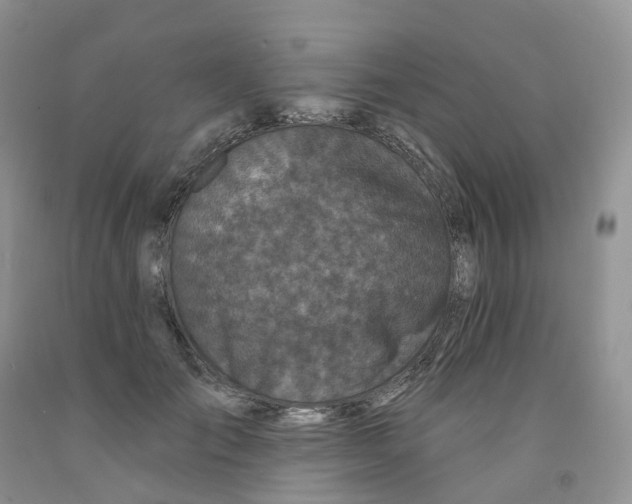 X0000091310701200709071114