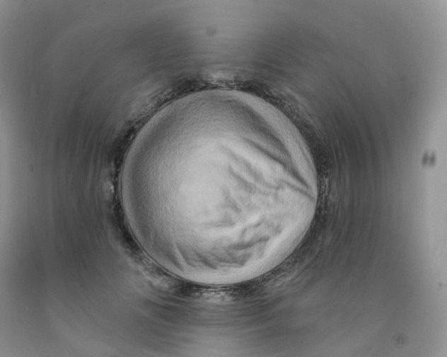 X0000091310702200709071114