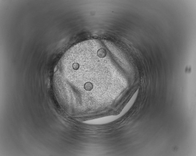 X0000091310703200709071114